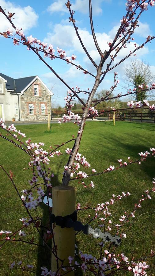 Nellies Cottage B&B Kilcogy Exterior foto
